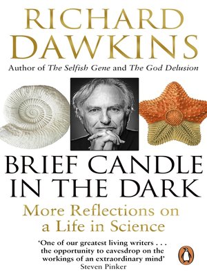 Brief Candle in the Dark - ebook